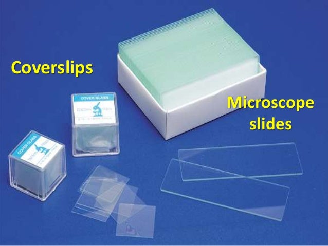 Microscope