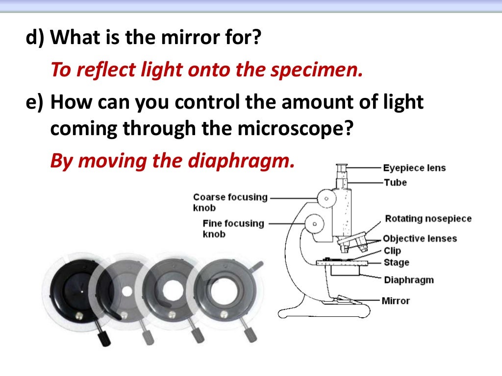 Microscope