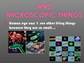 Human eye can´t see other living things
because they are so small…
