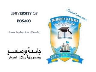 UNIVERSITY OF
BOSASO
Bosaso, Puntland State of Somalia
 