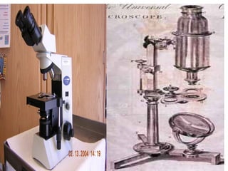 Microscope ...chanderhash..asu2017010100041 | PPT