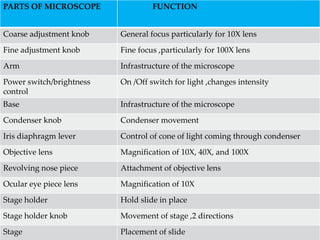 Microscope | PPTX
