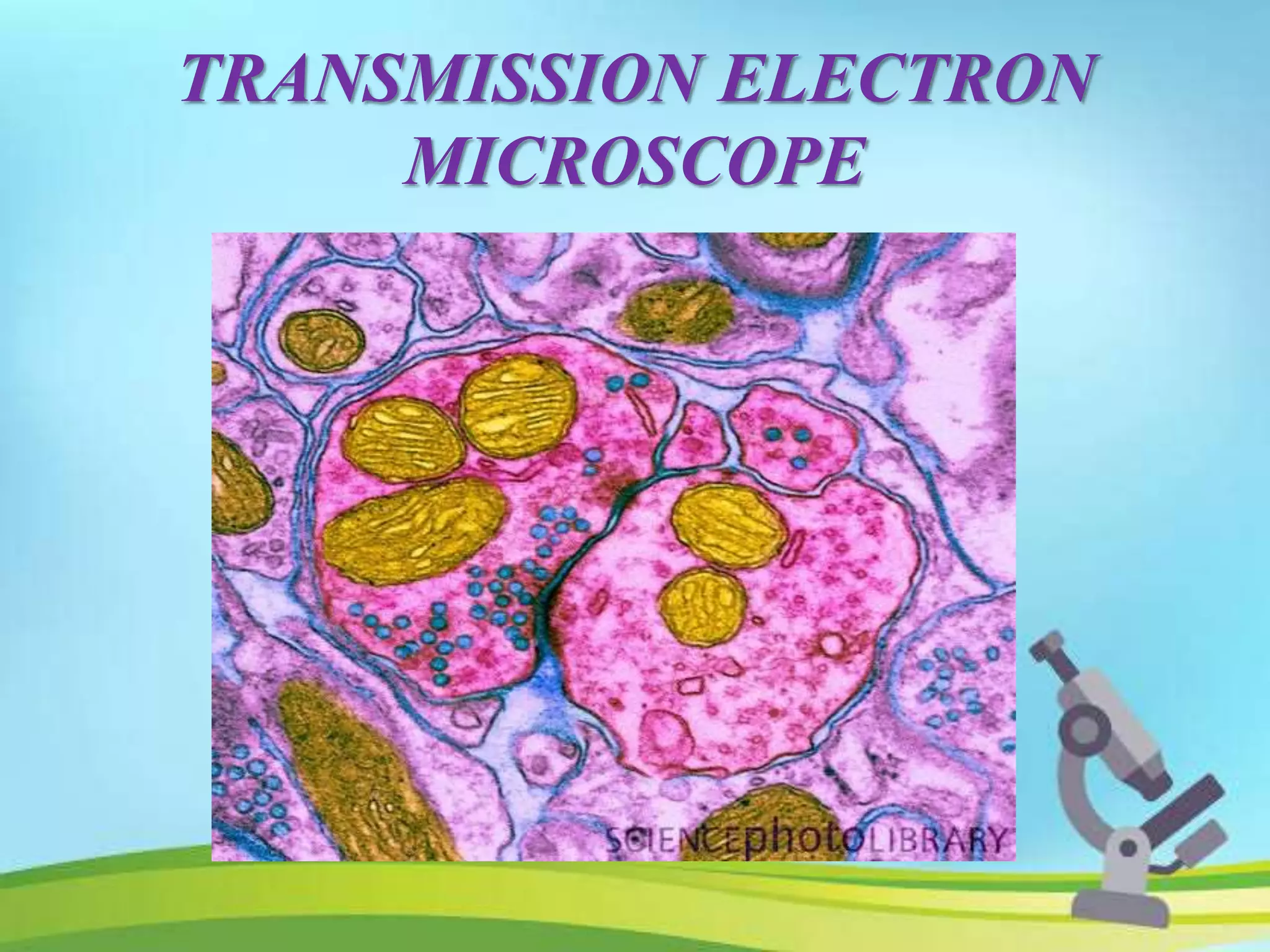 TRANSMISSION ELECTRON
MICROSCOPE
 