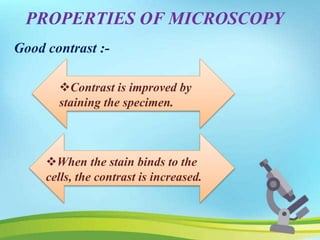 Microscope | PPTX