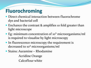 Fluorochroming
 Direct chemical interaction between fluorochrome
dye and bacterial cell
 Enchance the contrast & amplifies 10 fold greater than
light microscope
 Eg: minimum concentration of 10⁵ microorganisms/ml
is required to visualise by light microscopy
 In fluorescence microscopy the requirement is
decreased to 10⁴ microorganisms/ml
 Stains: Auramine – Rhodamine
Acridine Orange
Calcoflour white
 