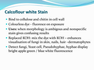Calcoflour white Stain
 Bind to cellulose and chitin in cell wall
 Colourless dye - fluoresce on exposure
 Uses: when morphology is ambigous and nonspecific
stain gives confusing results
 Replaced KOH: mix the dye with KOH – enhances
visualisation of fungi in skin, nails, hair –dermatophytes
 Detect fungi, Yeast cell, Pseudohyphae, hyphae display
bright apple green / blue white fluorescence
 