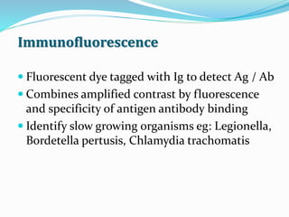 Immunofluorescence
 Fluorescent dye tagged with Ig to detect Ag / Ab
 Combines amplified contrast by fluorescence
and specificity of antigen antibody binding
 Identify slow growing organisms eg: Legionella,
Bordetella pertusis, Chlamydia trachomatis
 