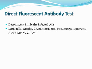 Direct Fluorescent Antibody Test
 Detect agent inside the infected cells
 Legionella, Giardia, Cryptosporidium, Pneumocystis jirovecii,
HSV, CMV, VZV, RSV
 