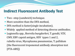 Indirect Fluorescent Antibody Test
 Two –step (sandwich) technique.
 More sensitive than the DFA method,
 DFA method is faster(single incubation).
 Widely applied method of detecting diverse antibodies.
 Legionella spp., Borrelia burgdorferi, T. gondii, VZV,
CMV, EBV capsid antigen, HSV types 1 and 2,
rubella virus, Mycoplasma pneumoniae, T. pallidum
(the fluorescent treponemal antibody absorption test
[FTA-ABS])
 