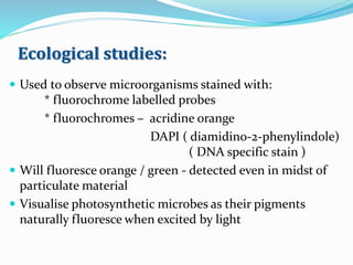 Ecological studies:
 Used to observe microorganisms stained with:
* fluorochrome labelled probes
* fluorochromes – acridine orange
DAPI ( diamidino-2-phenylindole)
( DNA specific stain )
 Will fluoresce orange / green - detected even in midst of
particulate material
 Visualise photosynthetic microbes as their pigments
naturally fluoresce when excited by light
 