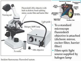 • To a standard
microscope
fluoreslenS
objective is attached
(dichroic mirror,
exciter filter, barrier
filter)
 Fibre optic light
source supplied by
halogen lamp
 