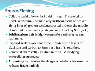 Freeze-Etching
 Cells are rapidly frozen in liquid nitrogen & warmed to
-100°C in vaccum - become very brittle and can be broken
along lines of greatest weakness, usually down the middle
of internal membranes (knife precooled with lq.N2 -196°C)
 Sublimation: Left in high vaccum for a minute; ice can
sublimate.
 Exposed surfaces are shadowed & coated with layers of
platinum and carbon to form a replica of the surface.
 Remove it chemically - studied in the TEM studying
intracellular structures
 Advantage: minimizes the danger of artefacts because the
cells are frozen quickly
 