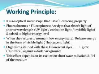  It is an optical microscope that uses fluorescing property
 Fluorochromes / Fluorophores: Are dyes that absorb light of
shorter wavelength (UV light / excitation light / invisible light)
& raised to higher energy level
 When they return to normal ( low energy state), Release energy
in the form of visible light ( fluorescent light)
 Organisms stained with these fluorescent dyes glow
(fluoresce ) against a dark background
 This effect depends on its excitation short wave radiation & PH
of the medium
Working Principle:
 