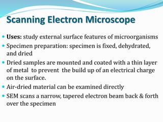 Scanning Electron Microscope
 Uses: study external surface features of microorganisms
 Specimen preparation: specimen is fixed, dehydrated,
and dried
 Dried samples are mounted and coated with a thin layer
of metal to prevent the build up of an electrical charge
on the surface.
 Air-dried material can be examined directly
 SEM scans a narrow, tapered electron beam back & forth
over the specimen
 