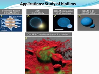 Applications: Study of biofilms
 