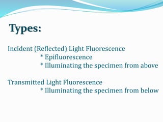 Incident (Reflected) Light Fluorescence
* Epifluorescence
* Illuminating the specimen from above
Transmitted Light Fluorescence
* Illuminating the specimen from below
Types:
 