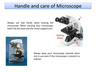 Microscope | PDF