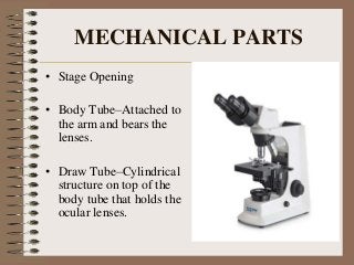 Microscope .pptx