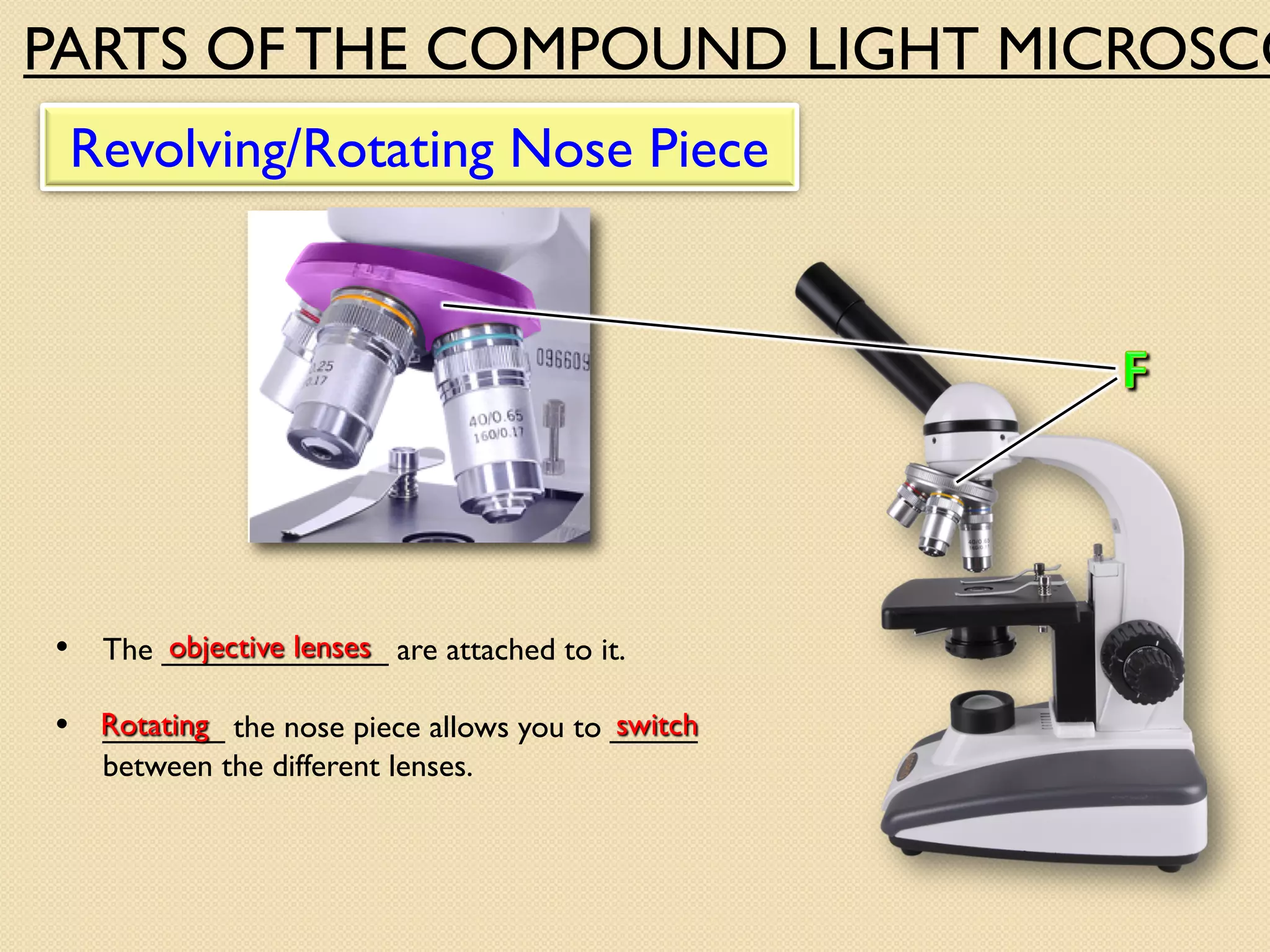 Revolving/Rotating Nose Piece
• The _____________ are attached to it.
• _______ the nose piece allows you to _____
between the different lenses.
objective lenses
Rotating switch
PARTS OF THE COMPOUND LIGHT MICROSCO
 