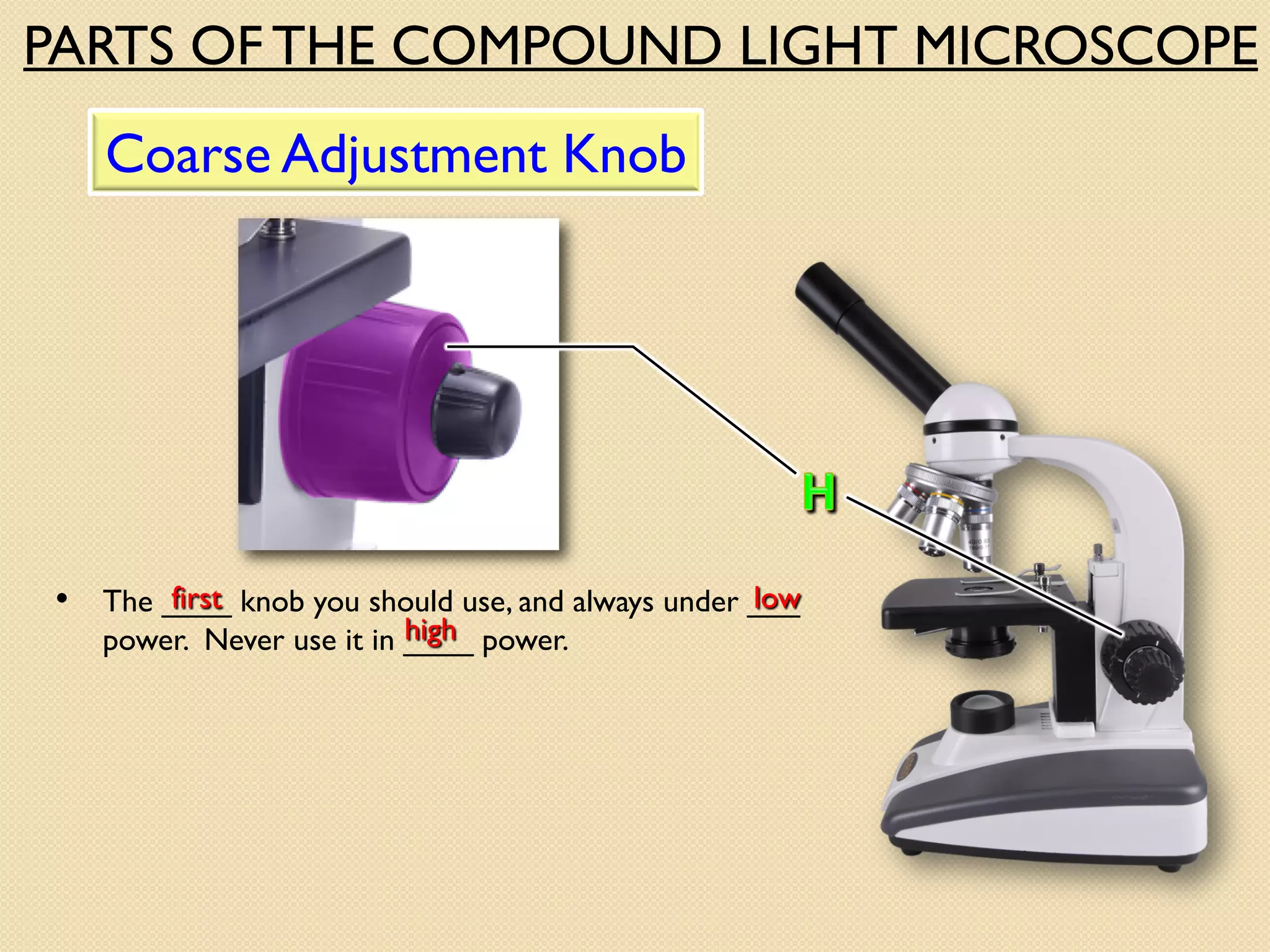 • The ____ knob you should use, and always under ___
power. Never use it in ____ power.
Coarse Adjustment Knob
low
first
high
PARTS OF THE COMPOUND LIGHT MICROSCOPE
 