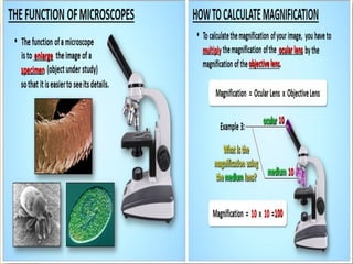 THE MICROSCOPE. | PDF