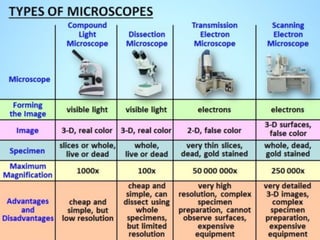THE MICROSCOPE. | PDF