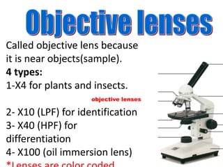 objective lenses
Called objective lens because
it is near objects(sample).
4 types:
1-X4 for plants and insects.
2- X10 (LPF) for identification
3- X40 (HPF) for
differentiation
4- X100 (oil immersion lens)
 