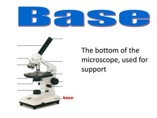 base
The bottom of the
microscope, used for
support
 