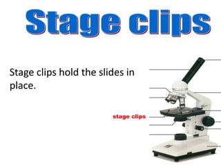stage clips
Stage clips hold the slides in
place.
 
