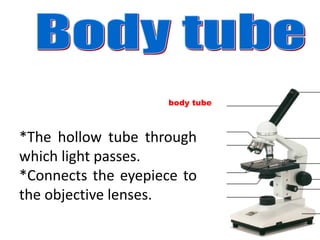 body tube
*The hollow tube through
which light passes.
*Connects the eyepiece to
the objective lenses.
 