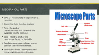 Microscope.pptx
