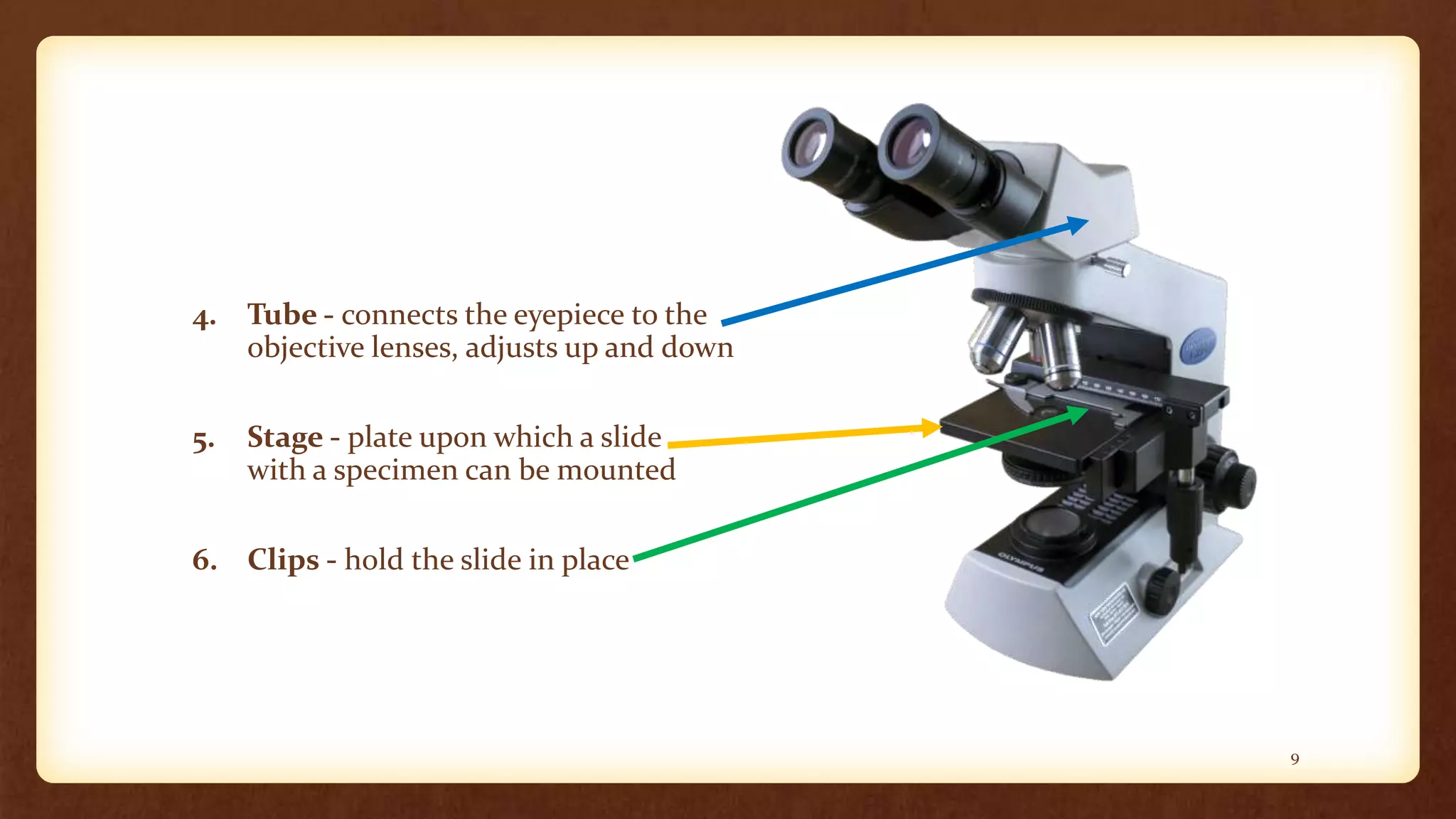 4. Tube - connects the eyepiece to the
objective lenses, adjusts up and down
5. Stage - plate upon which a slide
with a specimen can be mounted
6. Clips - hold the slide in place
9
 