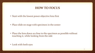 HOW TO FOCUS
• Start with the lowest power objective lens first
• Place slide on stage with specimen in the center
• Place the lens down as close to the specimen as possible without
touching it, while looking from the side
• Look with both eyes
12
 