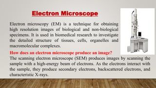 Microscope.pptx
