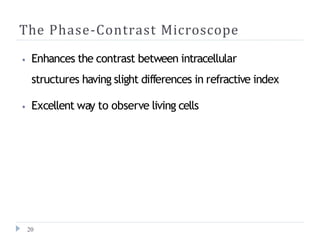 The Phase-Contrast Microscope
20
⦁ Enhances the contrast between intracellular
structures having slight differences in refractive index
⦁ Excellent way to observe living cells
 