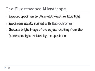 The Fluorescence Microscope
24
⦁ Exposes specimen to ultraviolet,violet,or blue light
⦁ Specimens usually stained with fluorochromes
⦁ Shows a bright image of the object resulting from the
fluorescent light emitted by the specimen
 