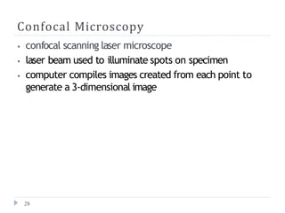 Confocal Microscopy
28
⦁ confocal scanning laser microscope
⦁ laser beam used to illuminate spots on specimen
⦁ computer compiles images created from each point to
generate a 3-dimensional image
 