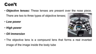 Low Power Objective Lens Example LECTURE NOTES FOR MICROSCOPE FOR STUDENTS.pptx. | PPTX