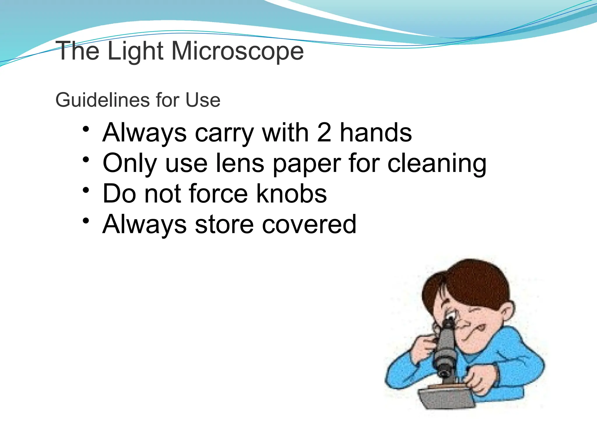 • Always carry with 2 hands
• Only use lens paper for cleaning
• Do not force knobs
• Always store covered
The Light Microscope
Guidelines for Use
 