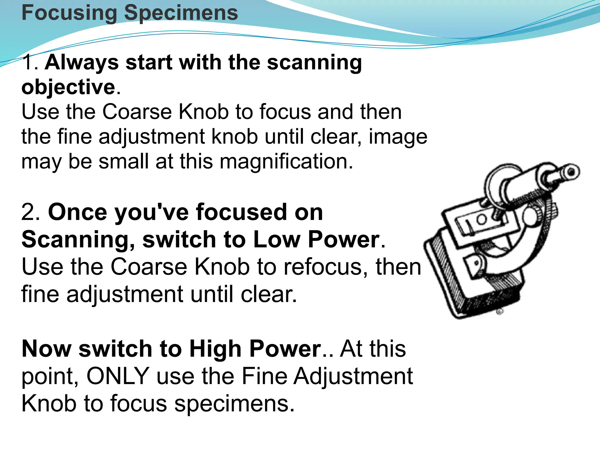 Focusing Specimens
1. Always start with the scanning
objective.
Use the Coarse Knob to focus and then
the fine adjustment knob until clear, image
may be small at this magnification.
2. Once you've focused on
Scanning, switch to Low Power.
Use the Coarse Knob to refocus, then
fine adjustment until clear.
Now switch to High Power.. At this
point, ONLY use the Fine Adjustment
Knob to focus specimens.
 
