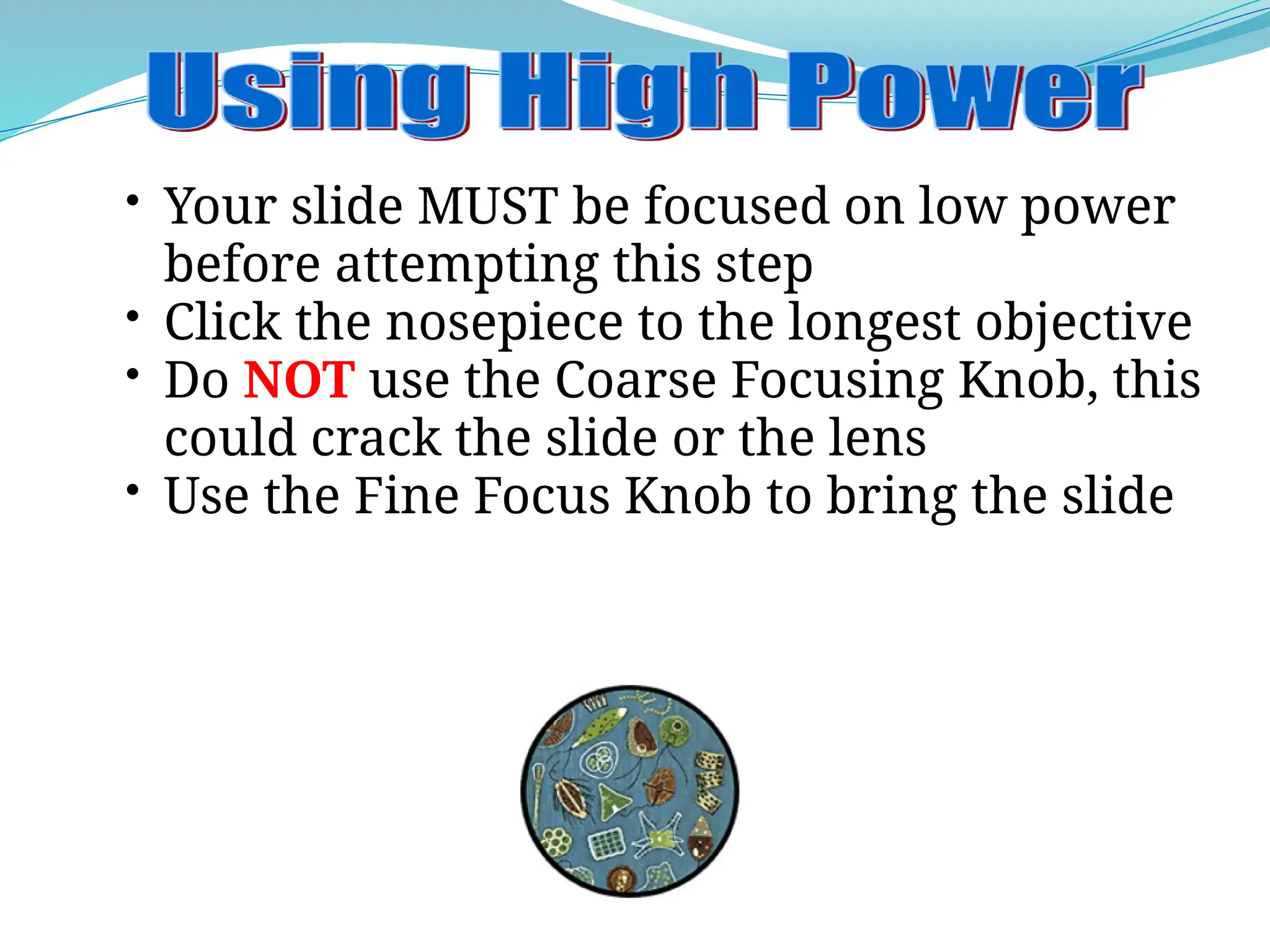 • Your slide MUST be focused on low power
before attempting this step
• Click the nosepiece to the longest objective
• Do NOT use the Coarse Focusing Knob, this
could crack the slide or the lens
• Use the Fine Focus Knob to bring the slide
 