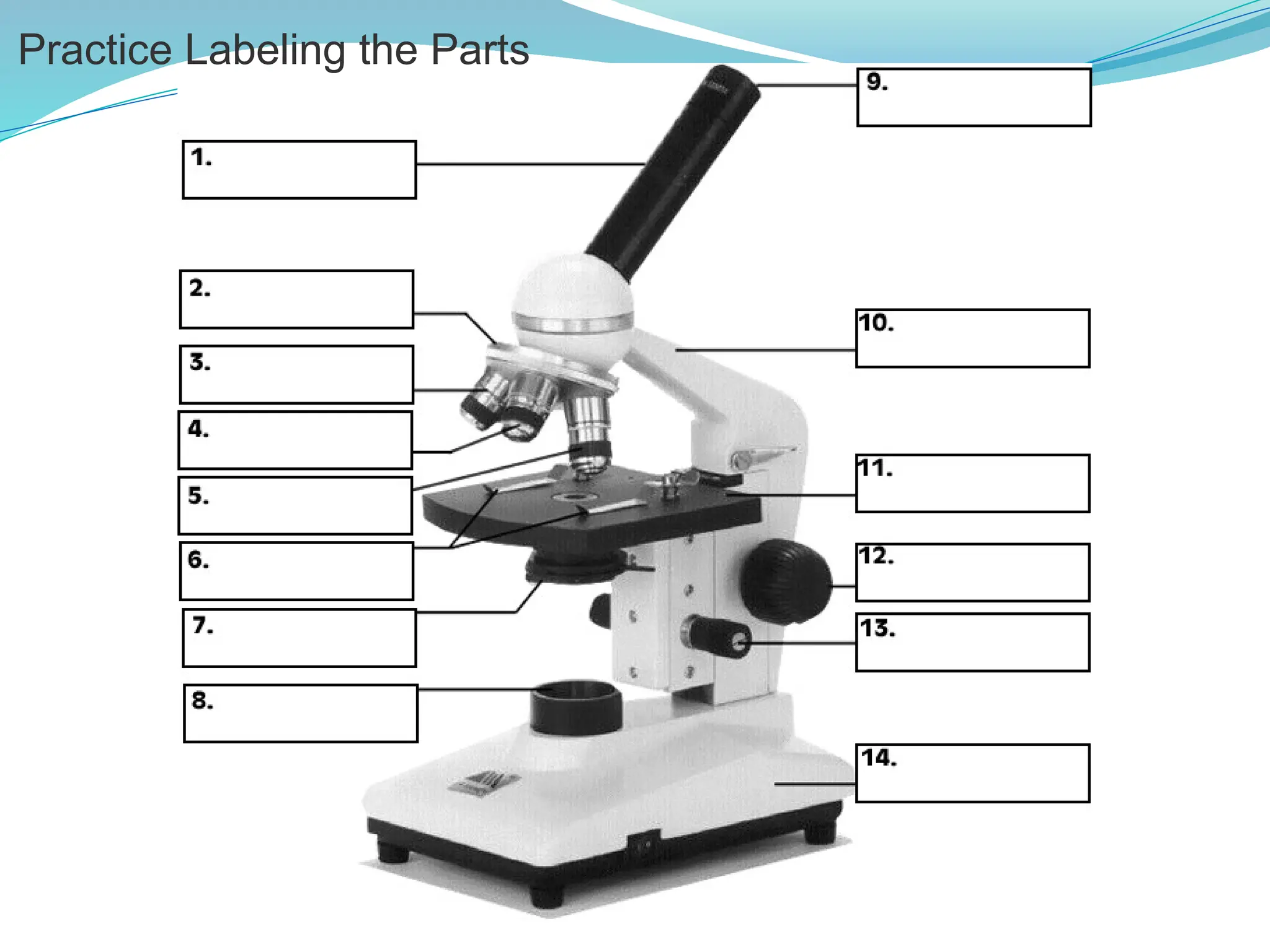 Practice Labeling the Parts
 