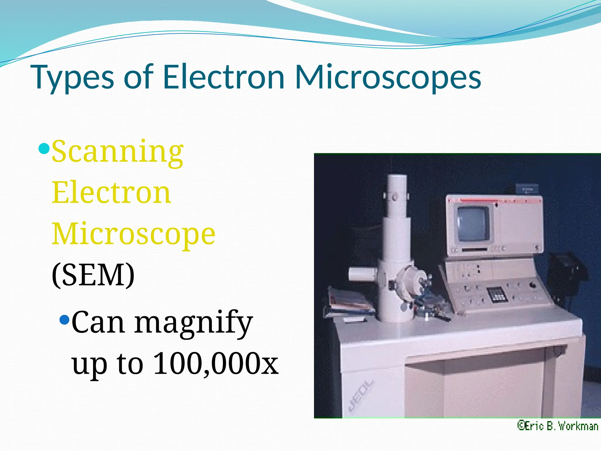 Types of Electron Microscopes
Scanning
Electron
Microscope
(SEM)
Can magnify
up to 100,000x
 