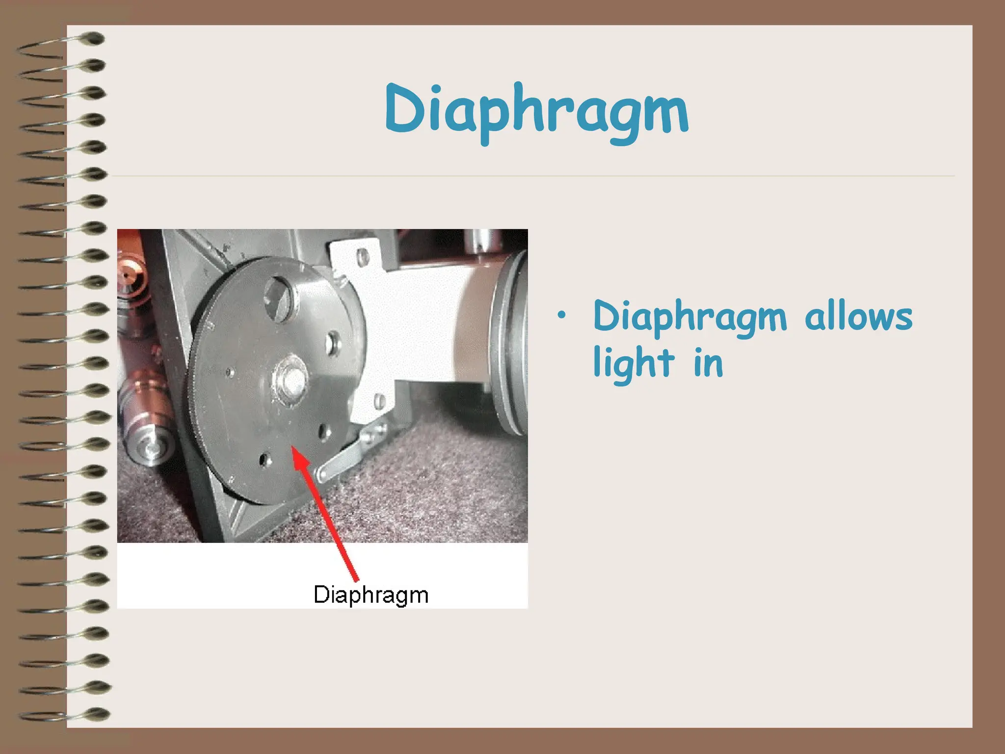 Diaphragm
• Diaphragm allows
light in
 