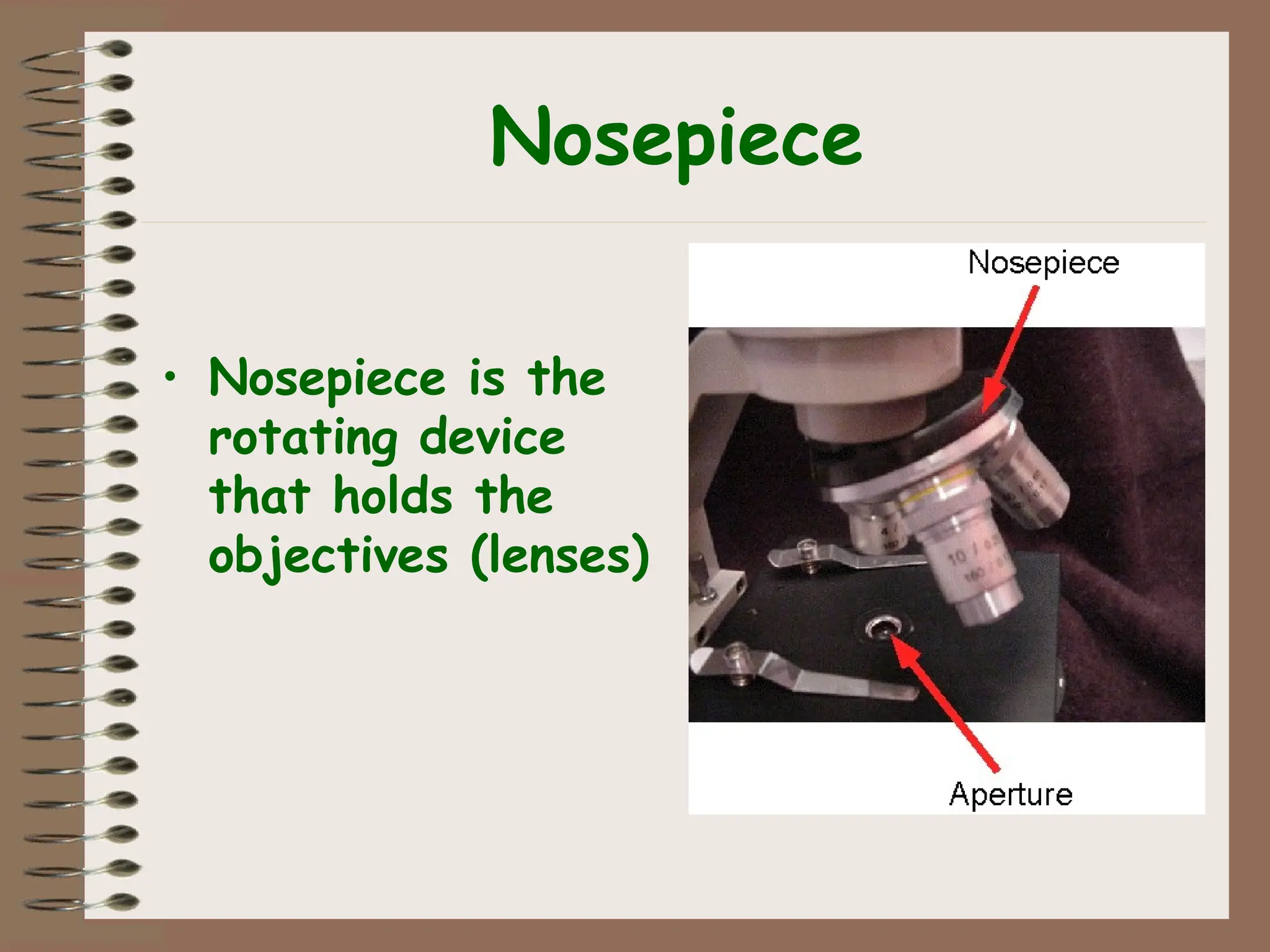 Nosepiece
• Nosepiece is the
rotating device
that holds the
objectives (lenses)
 