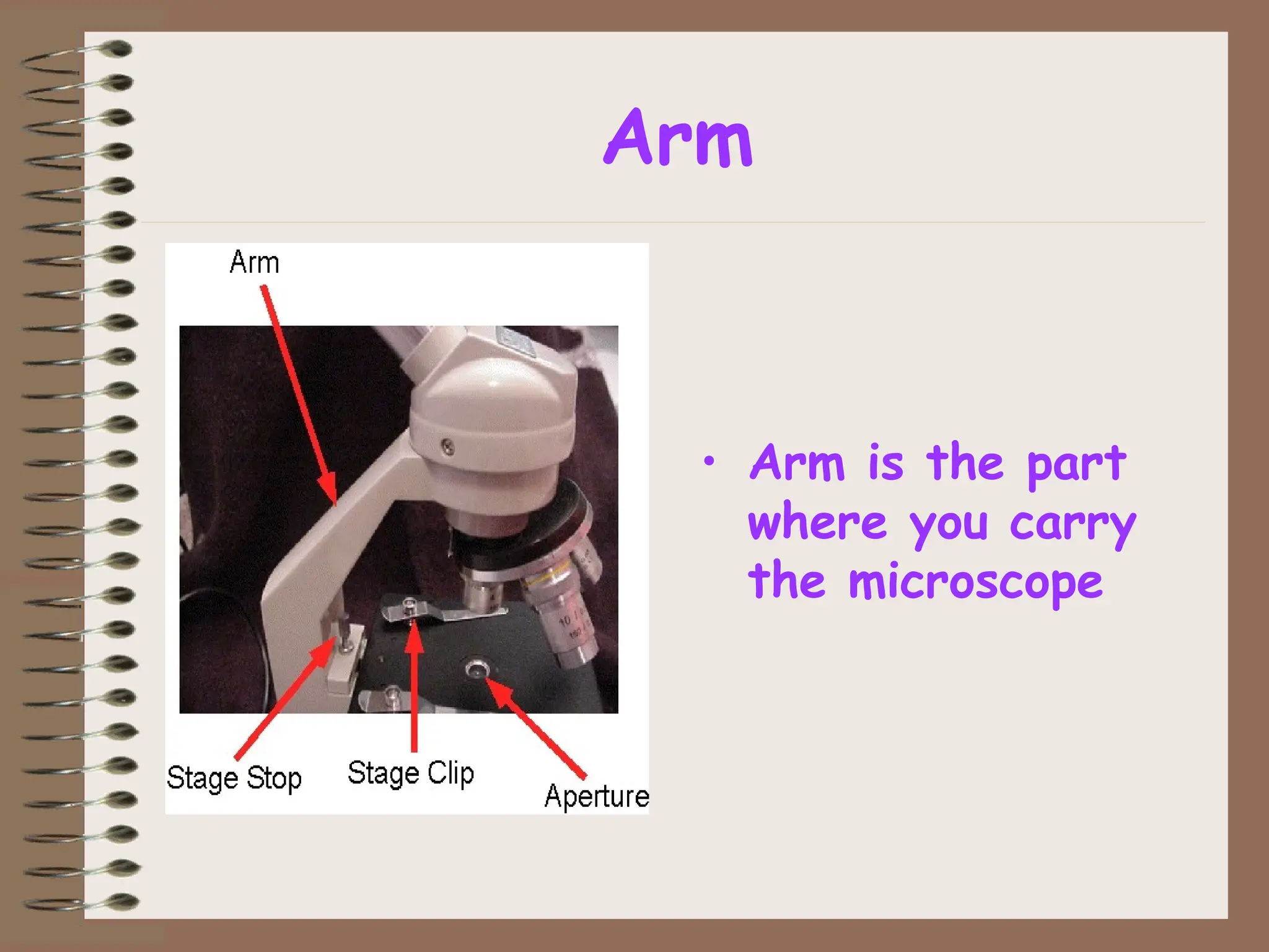 Arm
• Arm is the part
where you carry
the microscope
 