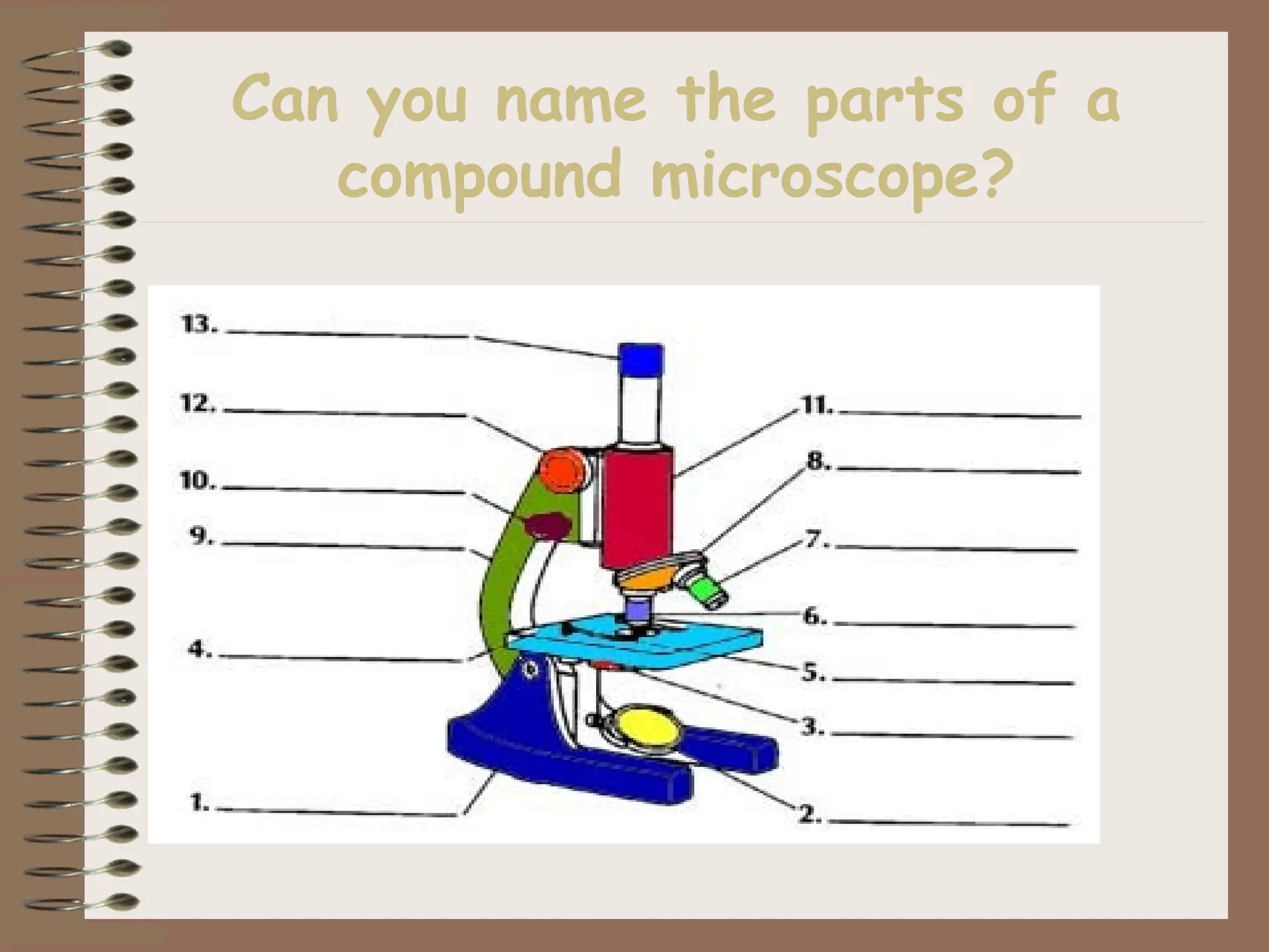 Can you name the parts of a
compound microscope?
 