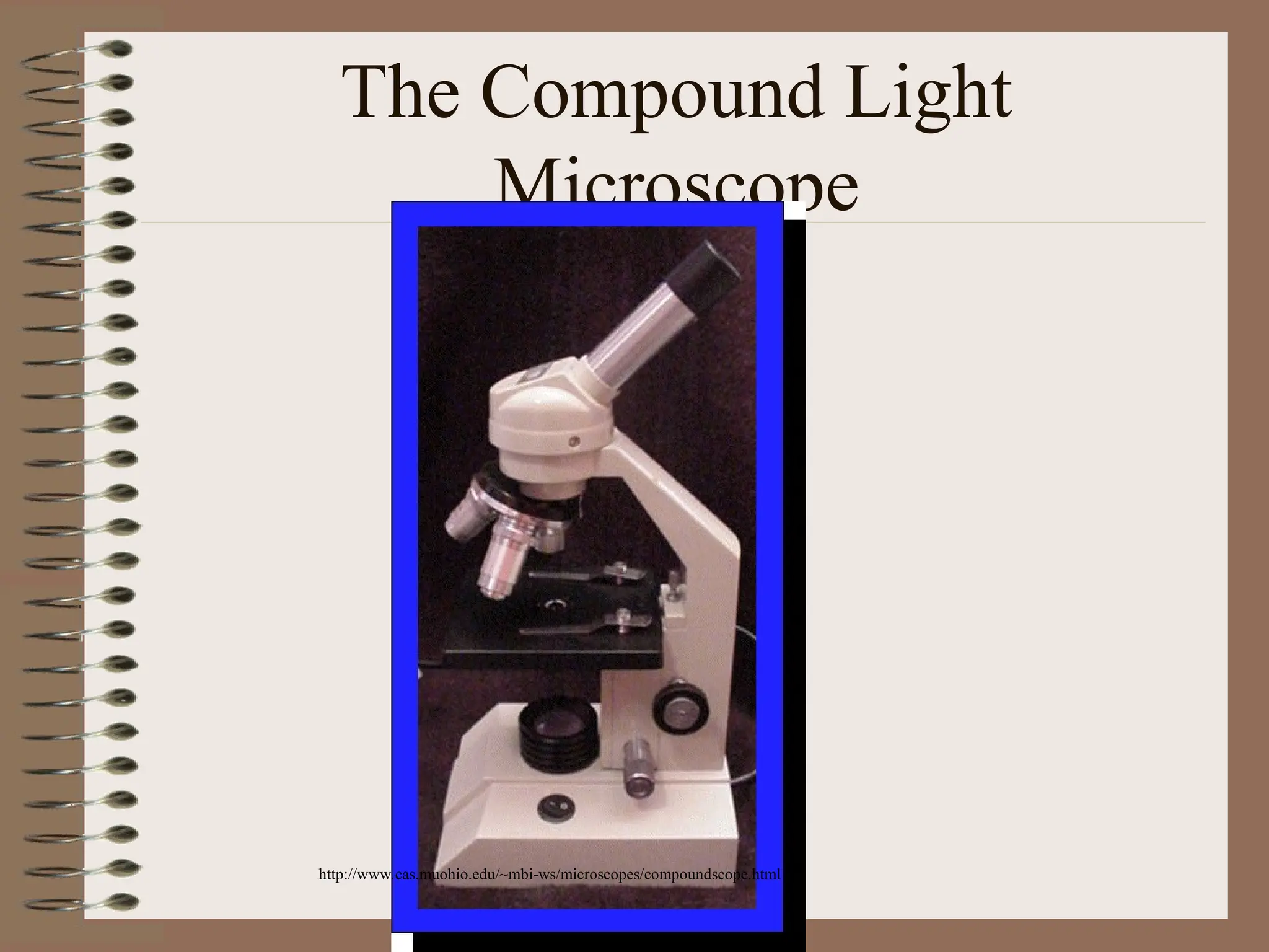 The Compound Light
Microscope
http://www.cas.muohio.edu/~mbi-ws/microscopes/compoundscope.html
 