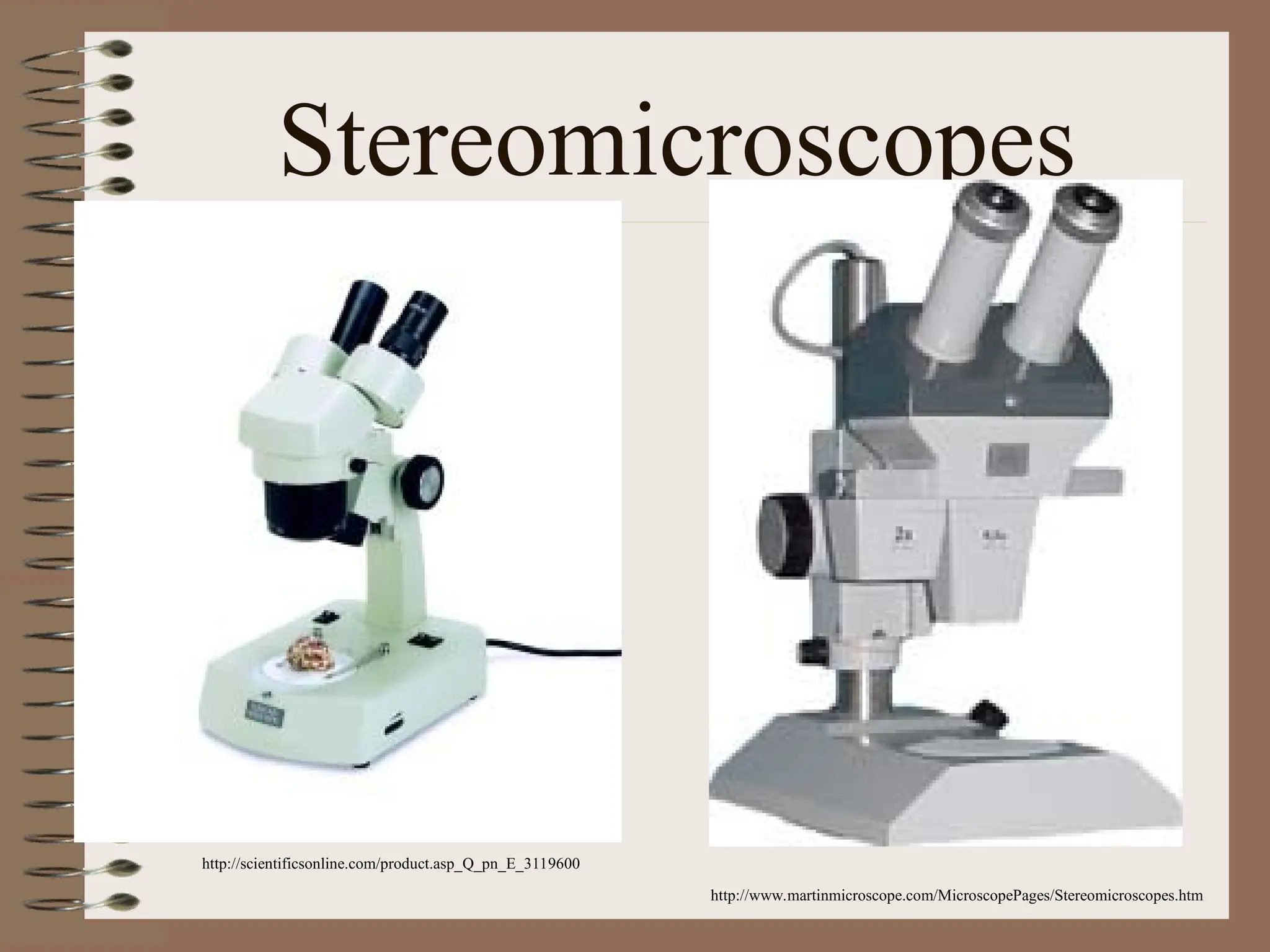 Stereomicroscopes
http://www.martinmicroscope.com/MicroscopePages/Stereomicroscopes.htm
http://scientificsonline.com/product.asp_Q_pn_E_3119600
 