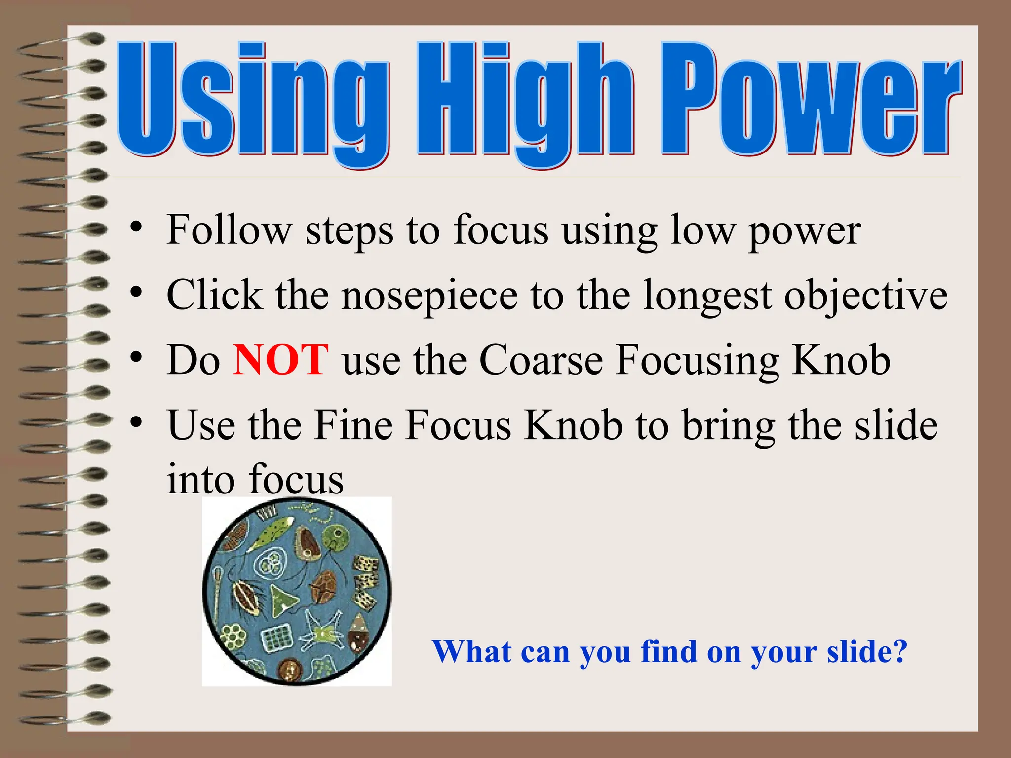 • Follow steps to focus using low power
• Click the nosepiece to the longest objective
• Do NOT use the Coarse Focusing Knob
• Use the Fine Focus Knob to bring the slide
into focus
What can you find on your slide?
 